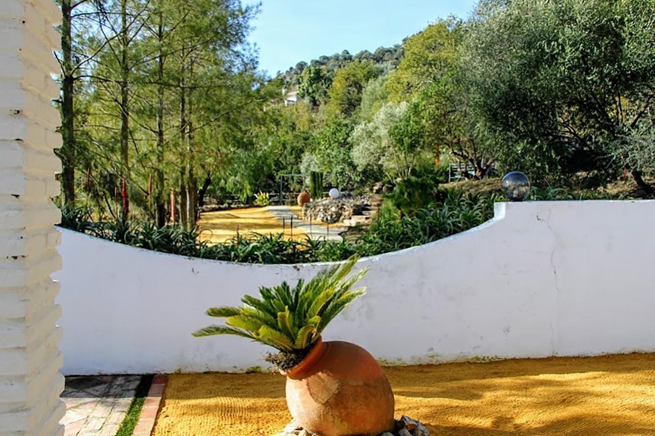Casas Rurales Los Algarrobales 엘 가스토르 외부 사진