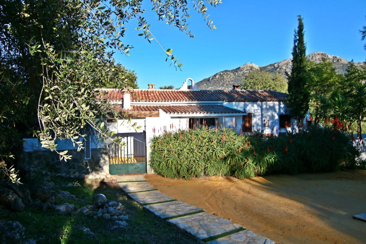 Casas Rurales Los Algarrobales 엘 가스토르 외부 사진