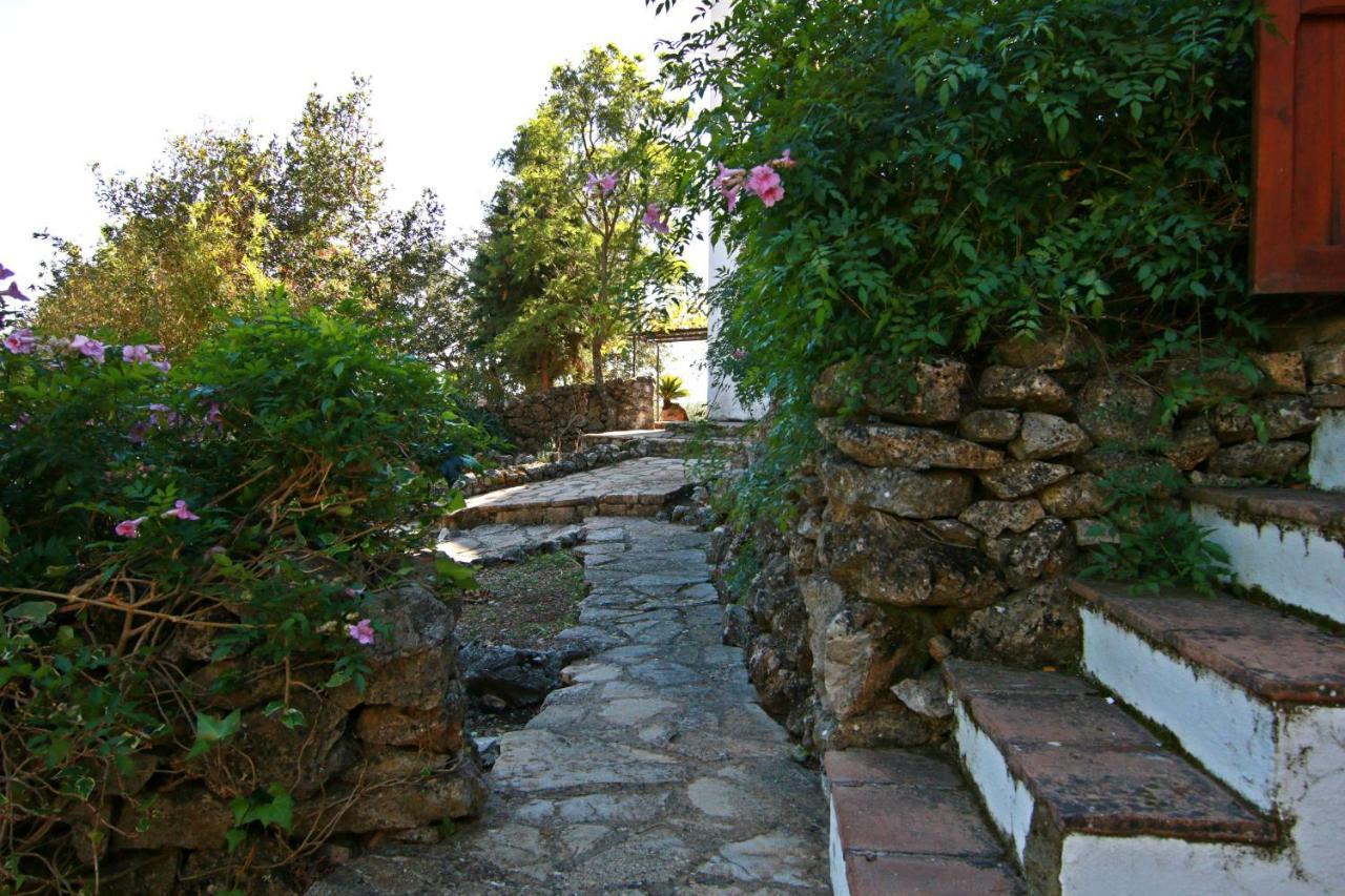 Casas Rurales Los Algarrobales 엘 가스토르 외부 사진