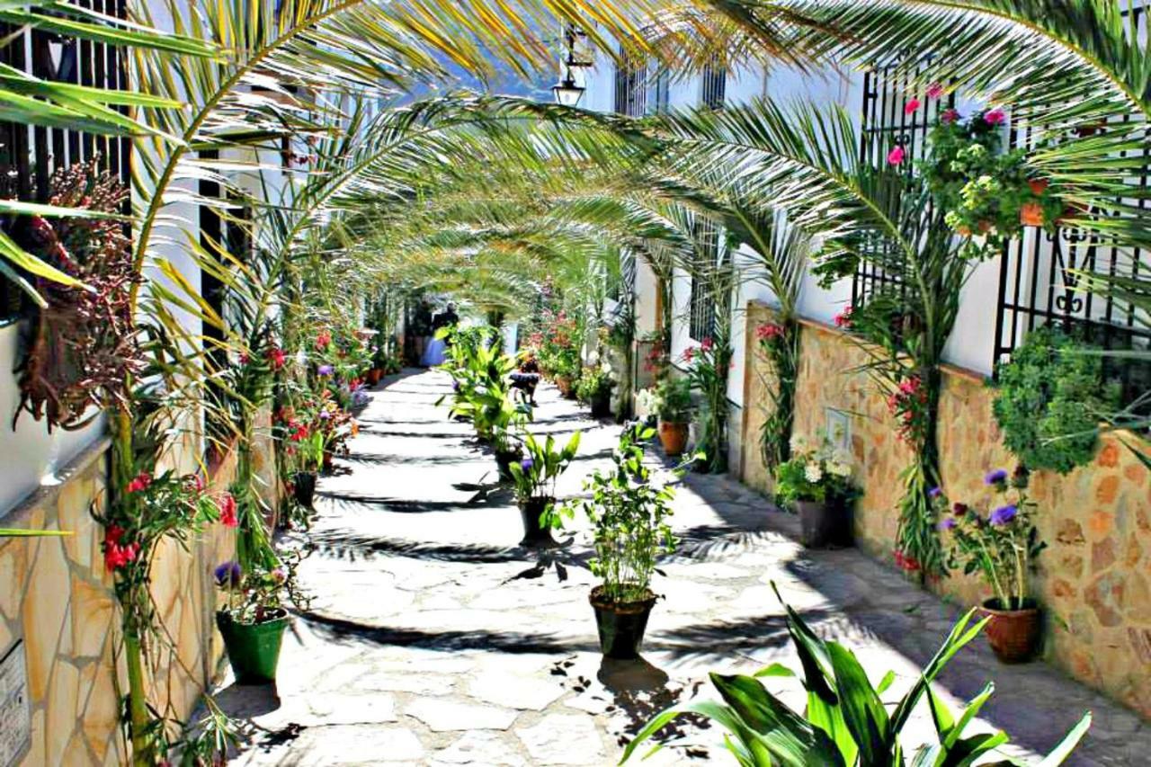 Casas Rurales Los Algarrobales 엘 가스토르 외부 사진
