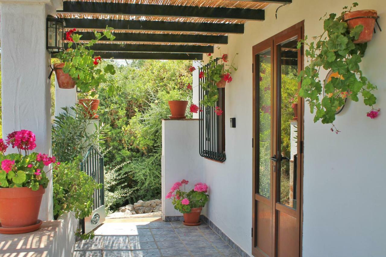 Casas Rurales Los Algarrobales 엘 가스토르 외부 사진